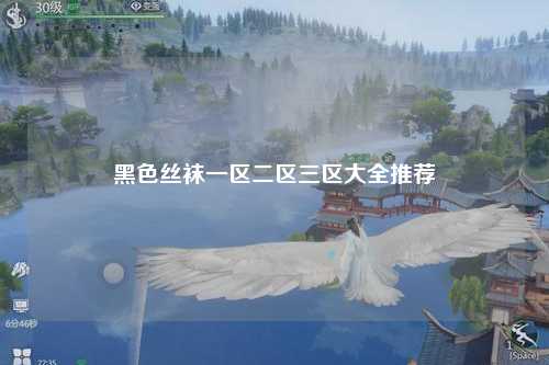黑色丝袜一区二区三区大全推荐