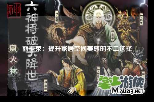 丽柜束：提升家居空间美感的不二选择