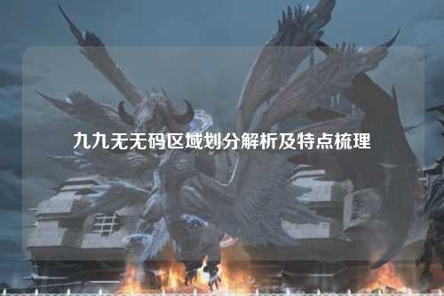 九九无无码区域划分解析及特点梳理