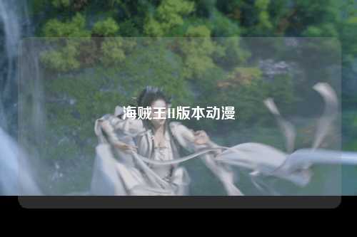 海贼王H版本动漫