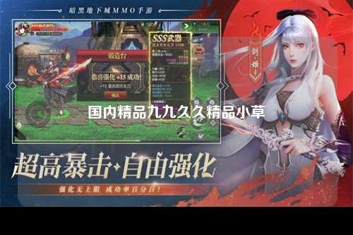国内精品九九久久精品小草